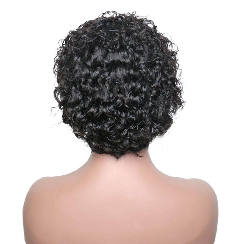 Pixie Cut Human Hair Wig Lace Front Wig Water Wave 180% Density