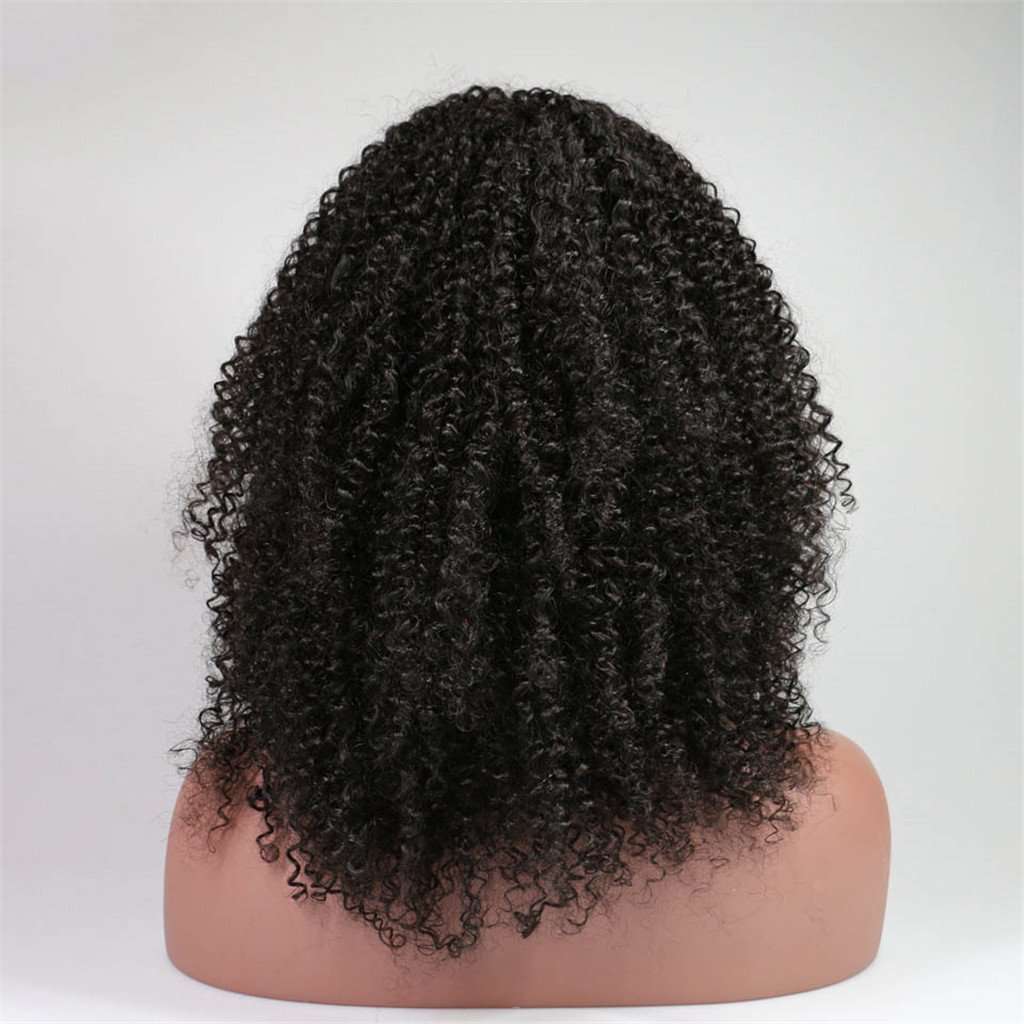 Glueless 4*4 Lace Closure Wig Afro Kinky Curly Human Hair Wigs Brazilian Hair-AshimaryHair.com