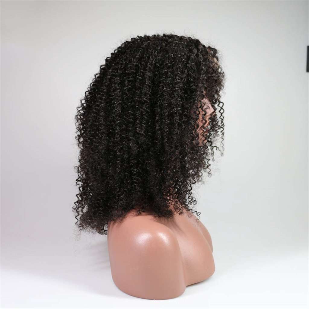 Glueless 4*4 Lace Closure Wig Afro Kinky Curly Human Hair Wigs Brazilian Hair-AshimaryHair.com
